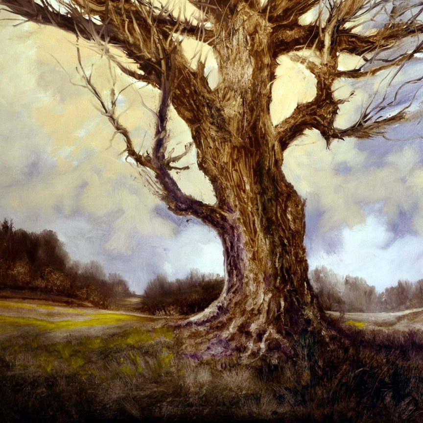 Stuart Davies Gallery Stuart Davies