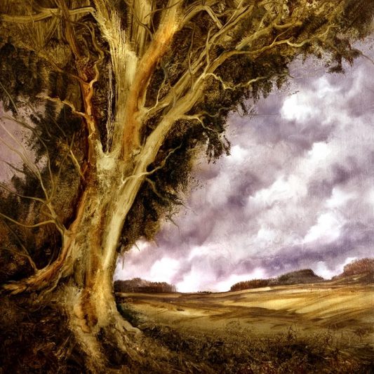 Stuart Davies Gallery Stuart Davies